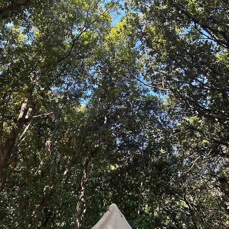 Tente Avec Vue Sur La Baie D'ajaccio Glamping Ajaccio (Corsica)