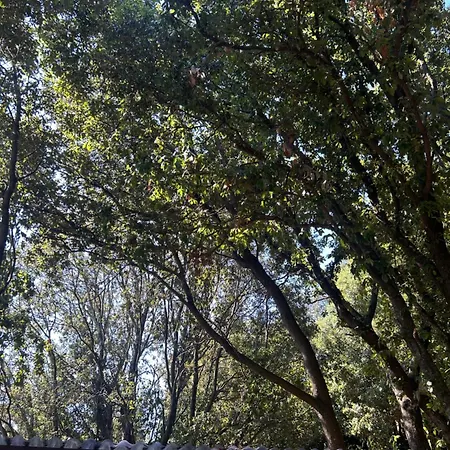 Tente Avec Vue Sur La Baie D'ajaccio Ajaccio (Corsica)