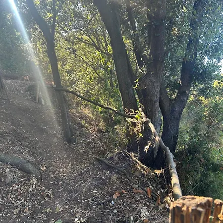 Tente Avec Vue Sur La Baie D'ajaccio Luxuszelt Ajaccio (Corsica)