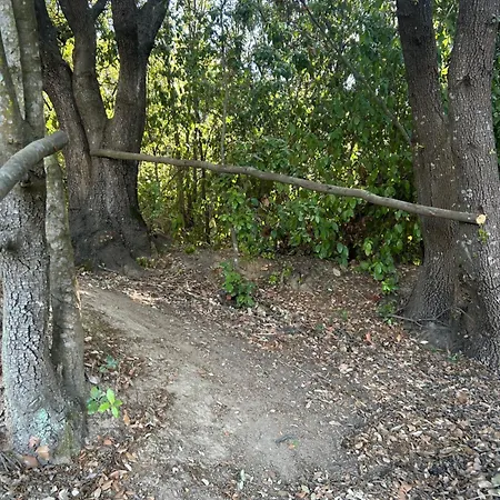 Tente Avec Vue Sur La Baie D'ajaccio Glamping