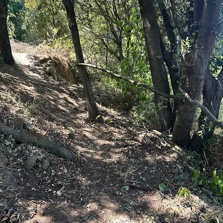Tente Avec Vue Sur La Baie D'ajaccio