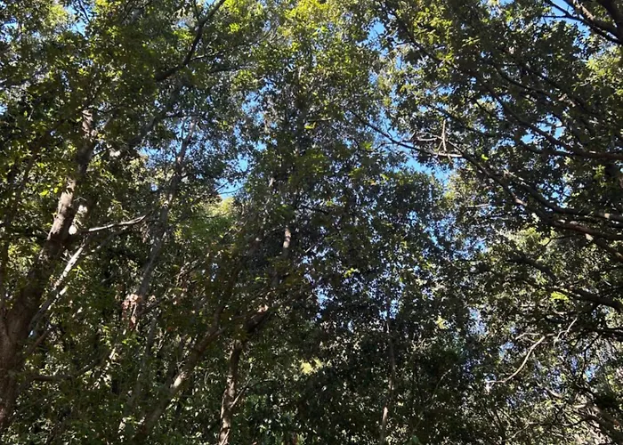 Tente Avec Vue Sur La Baie D'ajaccio Glamping Ajaccio (Corsica)