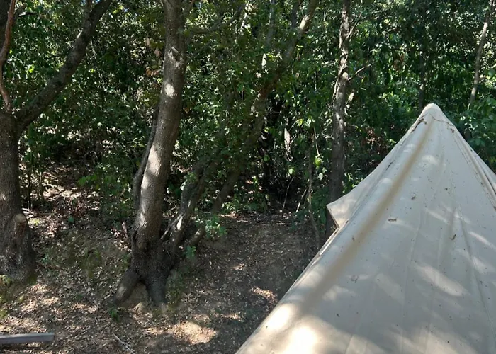 Tente Avec Vue Sur La Baie D'ajaccio Glamping Ajaccio (Corsica)