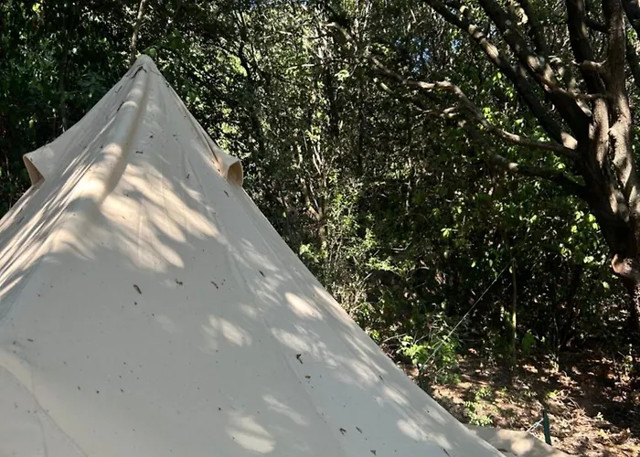 Tente Avec Vue Sur La Baie D'ajaccio Luxury tent *