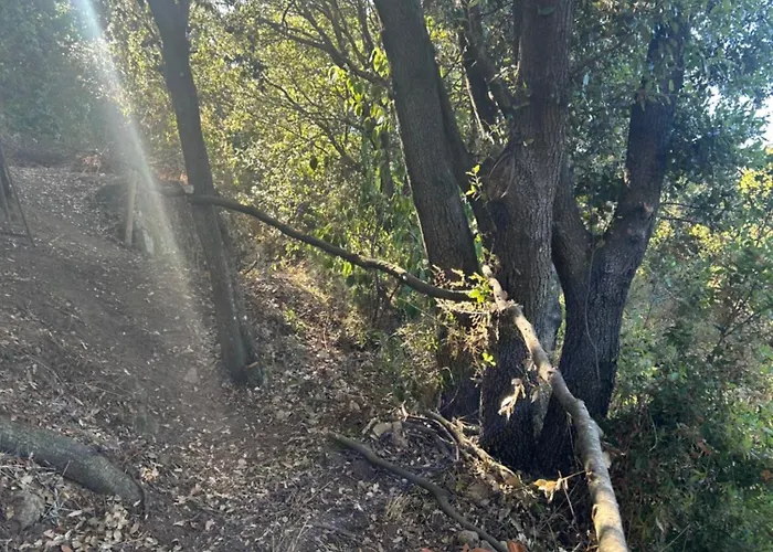Tente Avec Vue Sur La Baie D'ajaccio Glamping Ajaccio (Corsica)