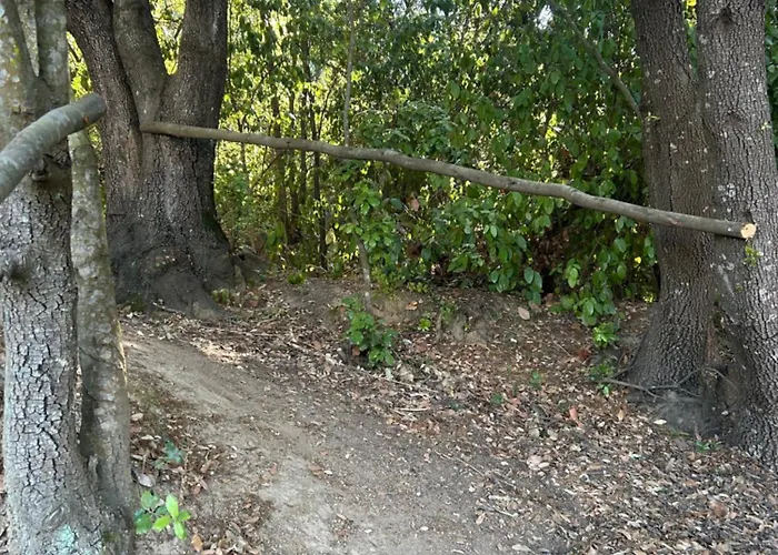 Tente Avec Vue Sur La Baie D'ajaccio Glamping